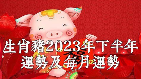 2024生肖豬|2024年屬豬人全年整體運勢詳解